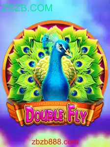 Explorando o Mundo do Jogo DoubleFly: Guia Completo e Atualizado